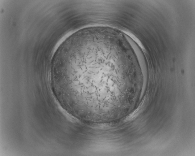 X0000074281101200609151846