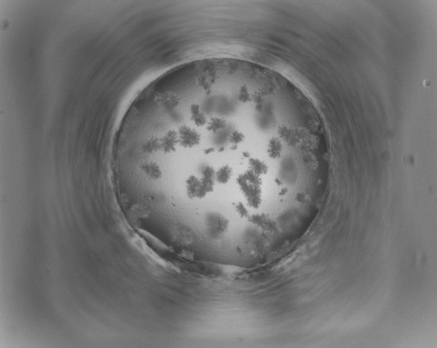 X0000074281104200609151845