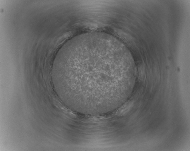 X0000074281105200609151845