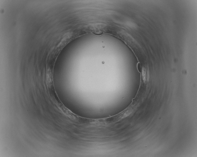 X0000074281107200609151845