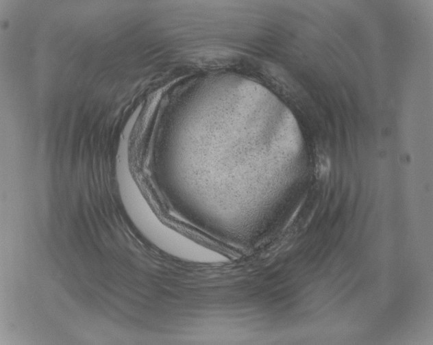 X0000074281108200609151845