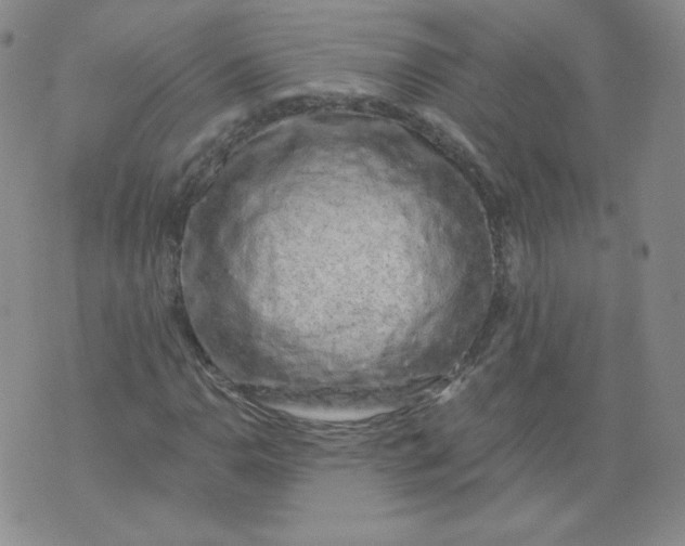 X0000074281110200609151845