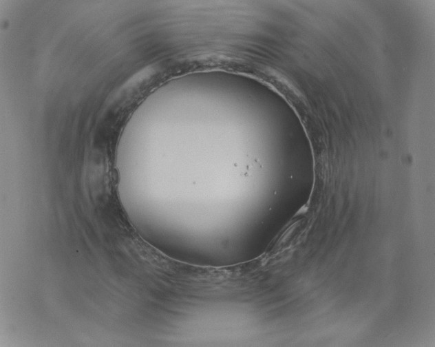 X0000074281111200609151845