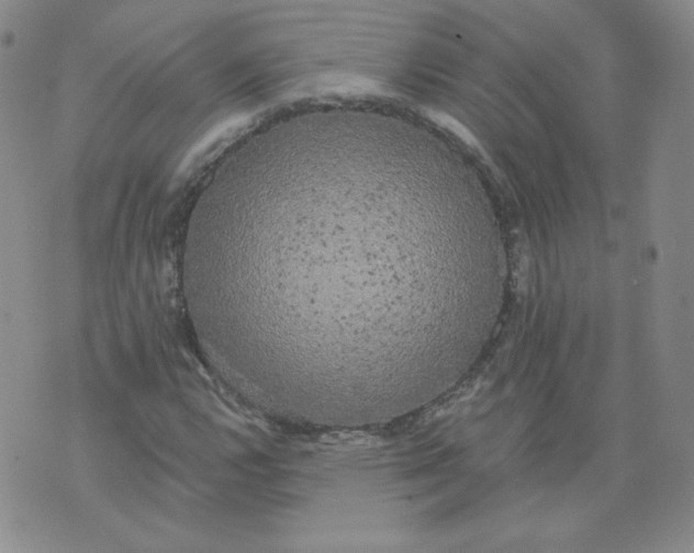 X0000074281112200609151845