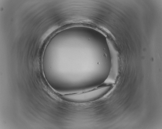 X0000074281114200609151845