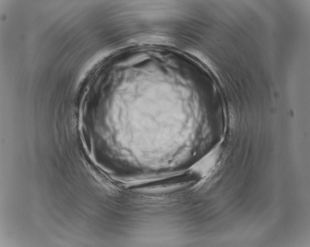 X0000074281115200609151845