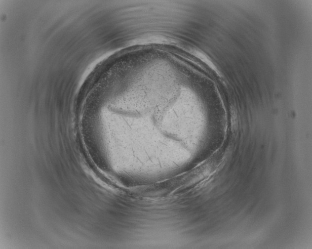 X0000074281116200609151845