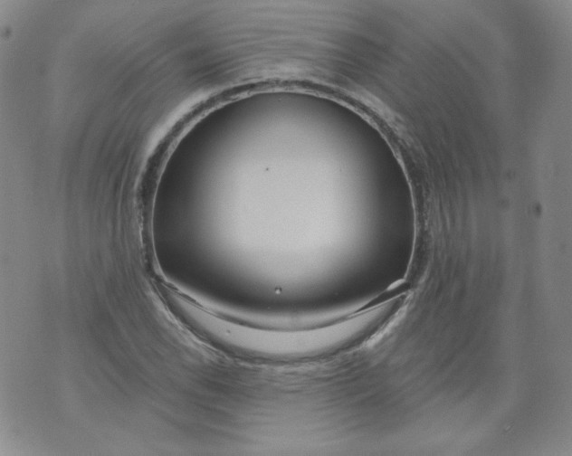 X0000074281118200609151845