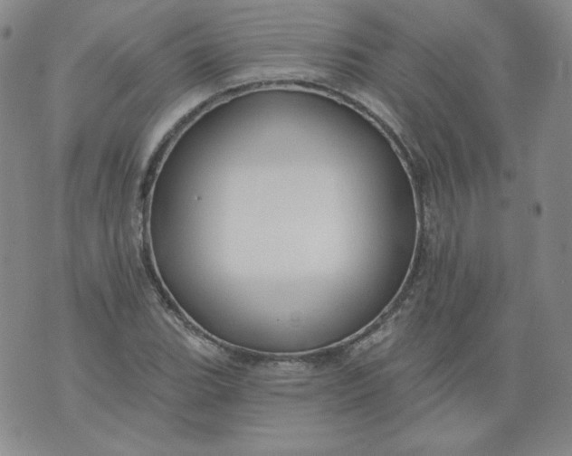 X0000074281119200609151845