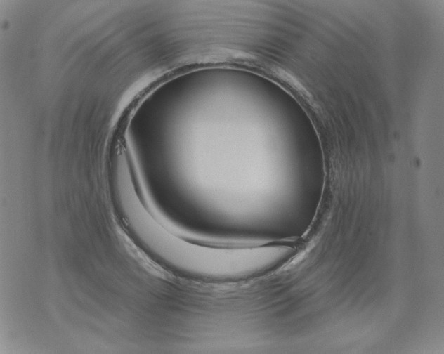 X0000074281122200609151845