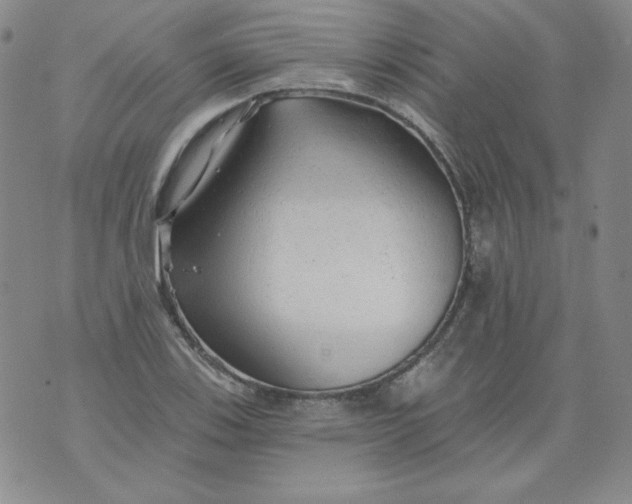 X0000074281123200609151845