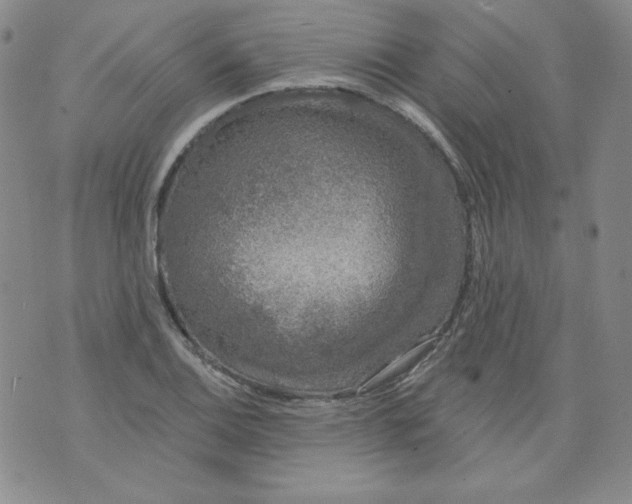 X0000074281124200609151845