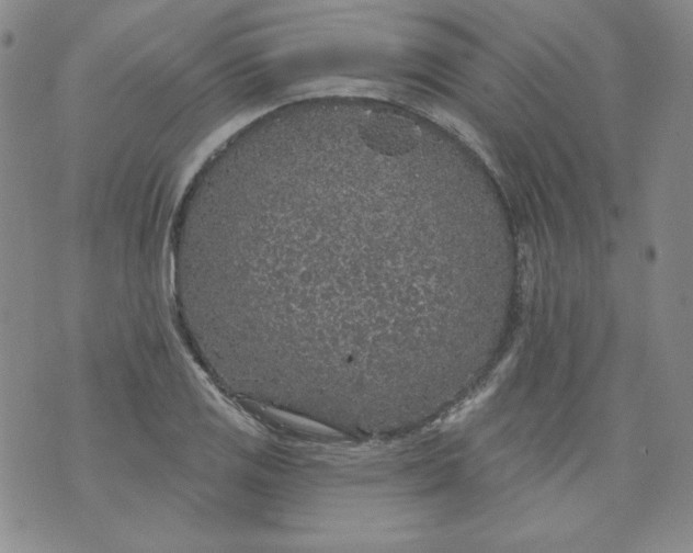 X0000074281125200609151845