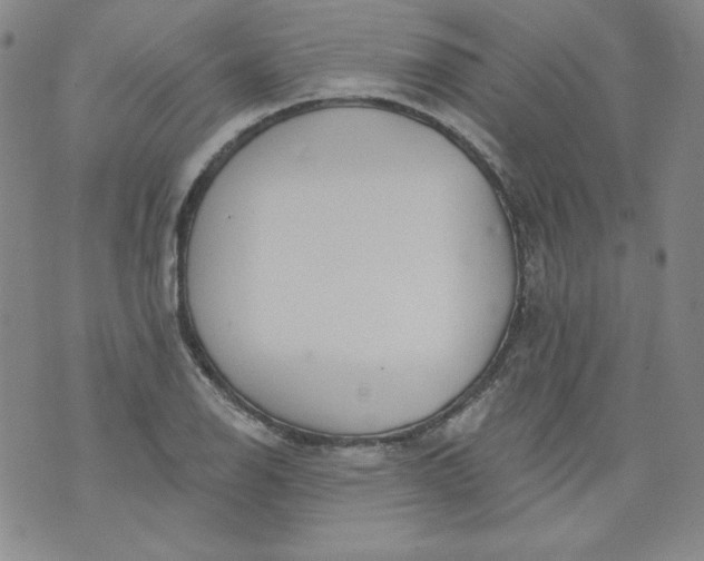 X0000074281126200609151845