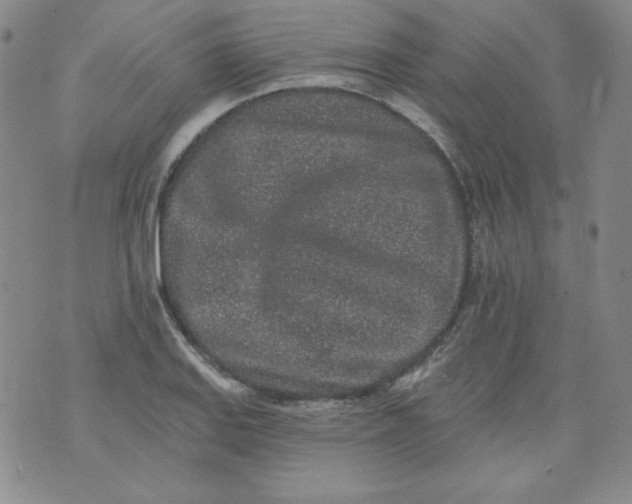 X0000074281127200609151845