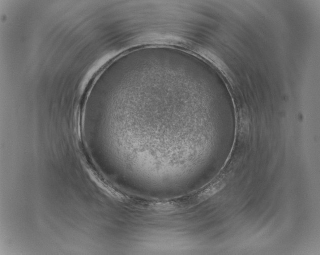 X0000074281128200609151845