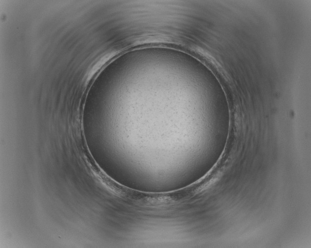 X0000074281129200609151845