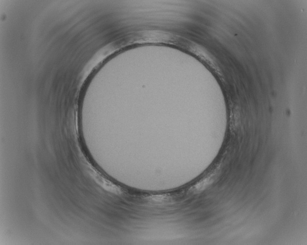 X0000074281130200609151845