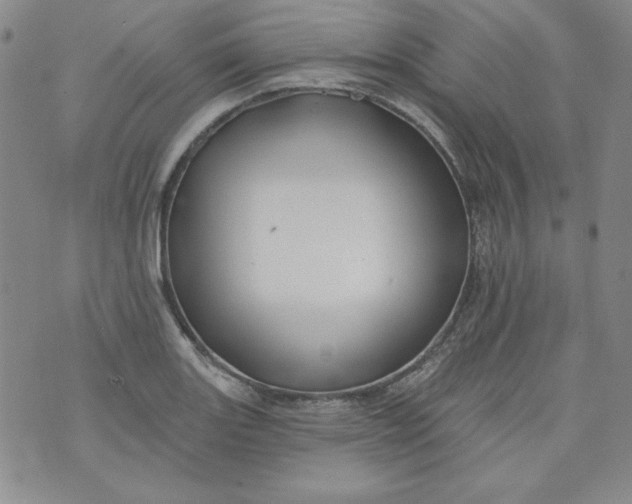 X0000074281131200609151845