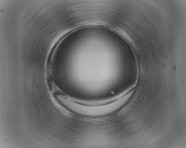 X0000074281132200609151845