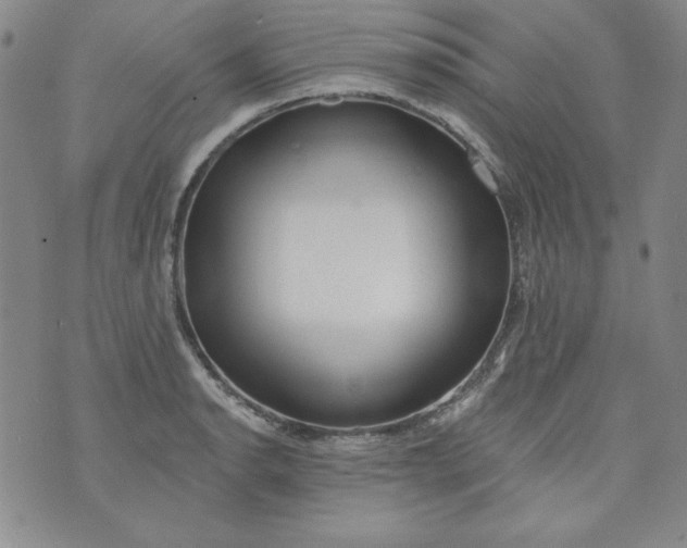 X0000074281134200609151845