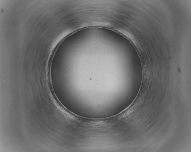 X0000074281135200609151845