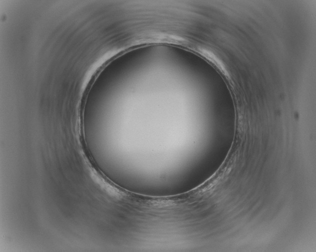 X0000074281136200609151845