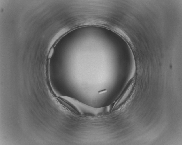 X0000074281138200609151845