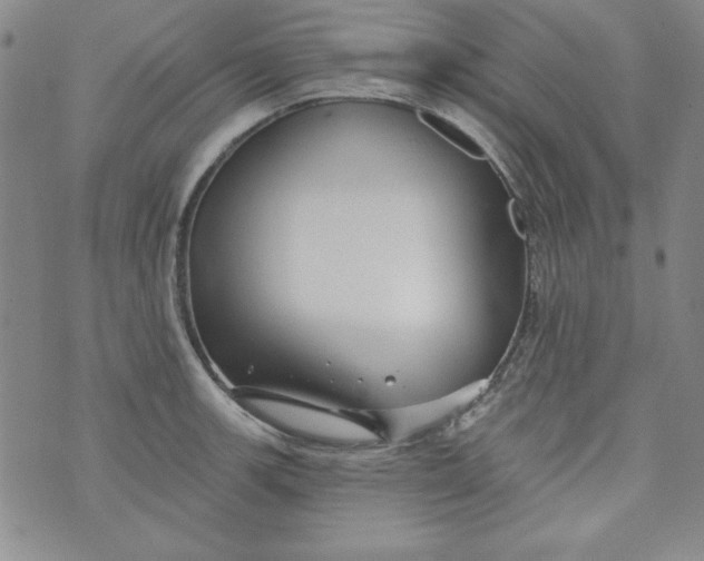 X0000074281139200609151845