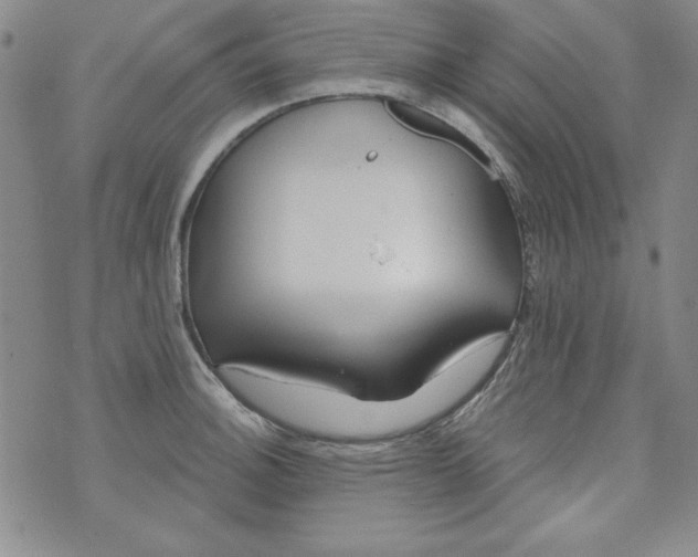 X0000074281140200609151845