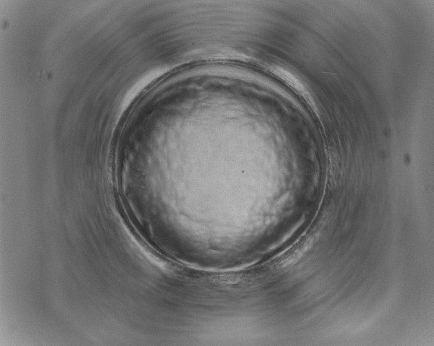 X0000074281141200609151845