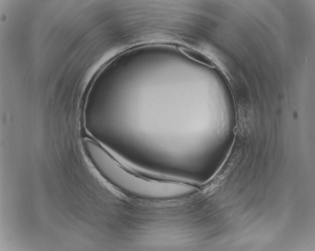 X0000074281142200609151845