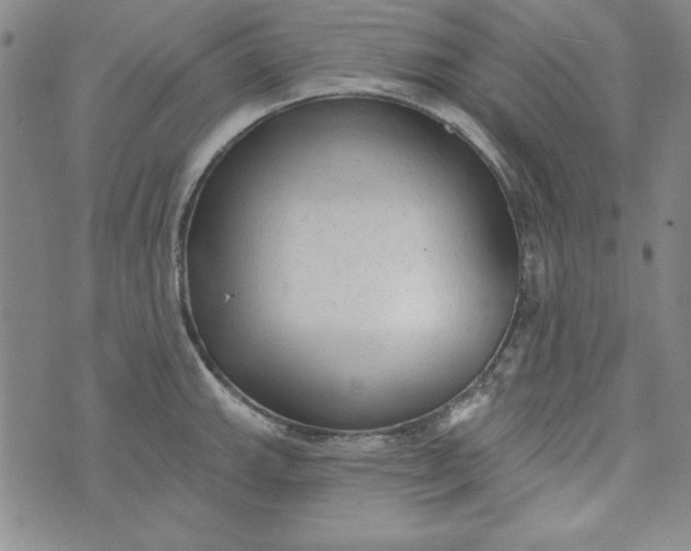 X0000074281143200609151845