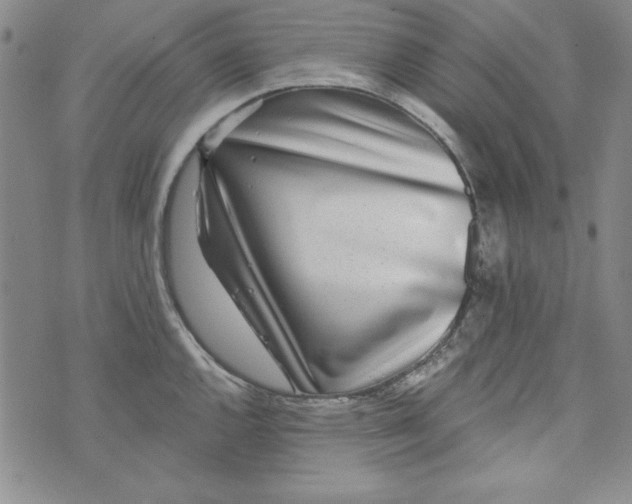 X0000074281144200609151845