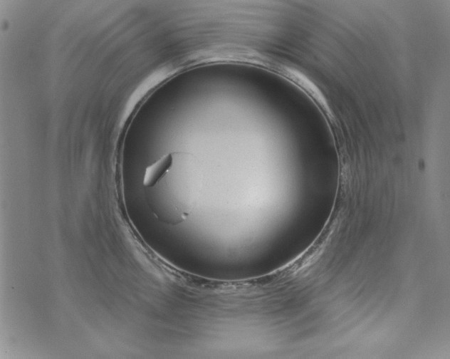 X0000074281146200609151845