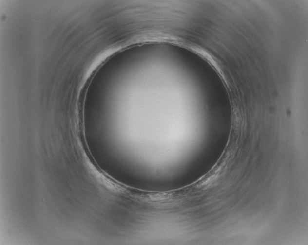 X0000074281147200609151845