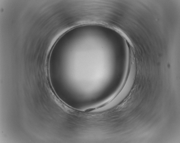 X0000074281148200609151845