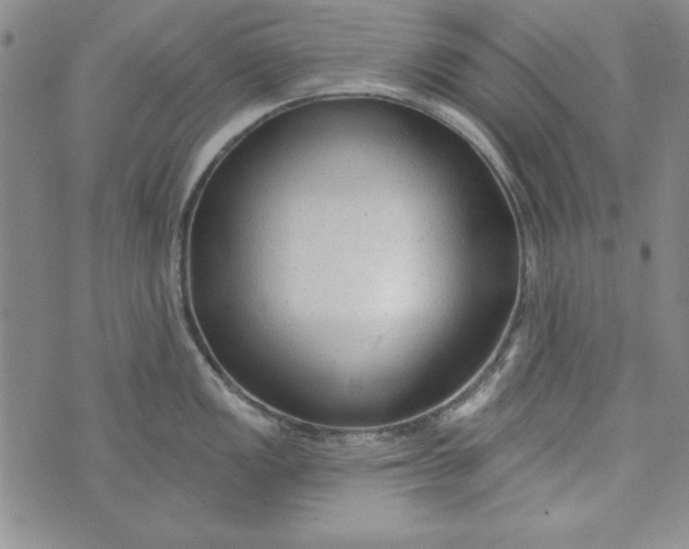 X0000074281149200609151845