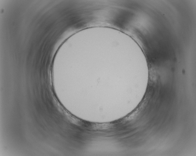 X0000074281150200609151845