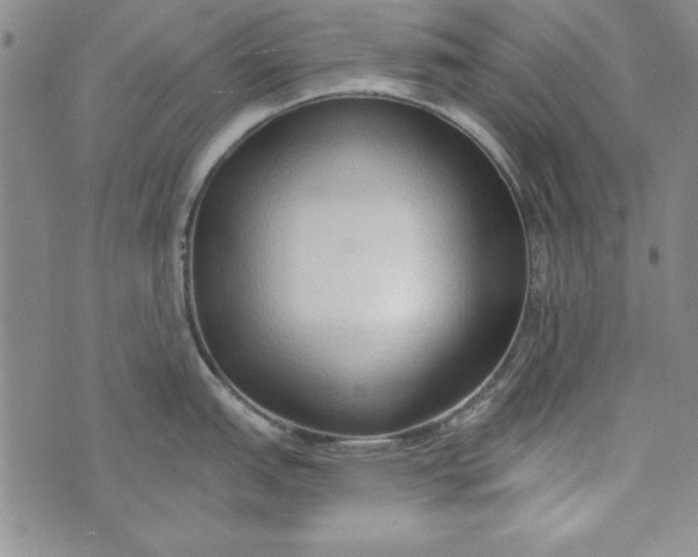 X0000074281151200609151845