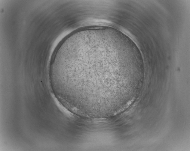 X0000074281152200609151845