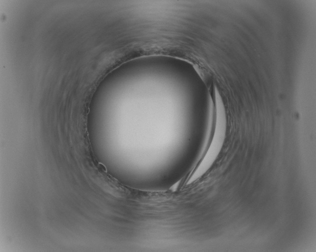 X0000074281153200609151845