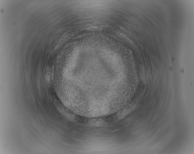 X0000074281154200609151845