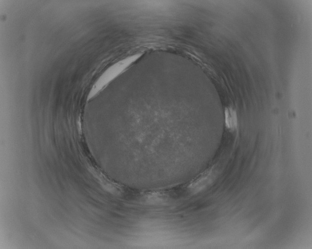 X0000074281155200609151845