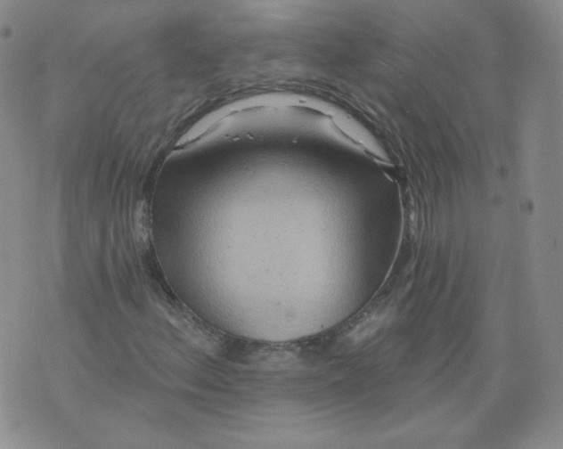 X0000074281156200609151845