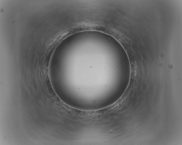 X0000074281157200609151845