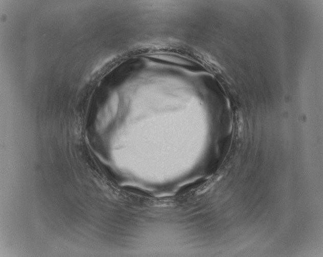 X0000074281158200609151845