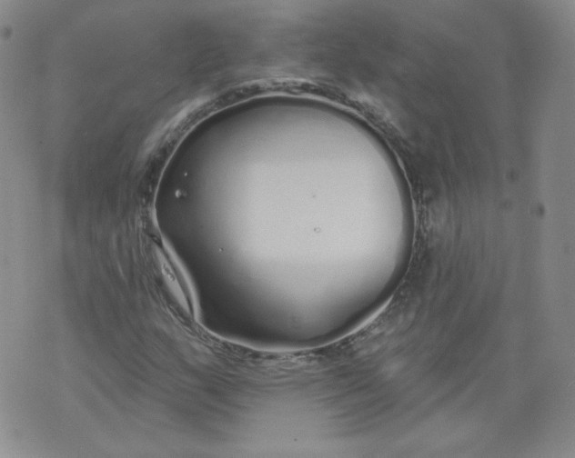 X0000074281159200609151845