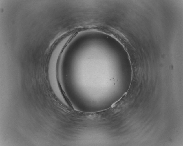 X0000074281160200609151845