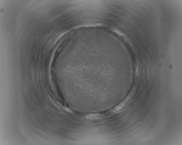 X0000074281161200609151845